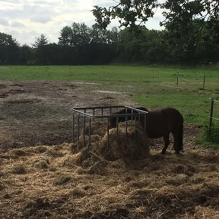 Bed&Breakfast Tistrup Frühstückspension 3*