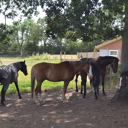 Frühstückspension Bed&Breakfast Tistrup Tistrup