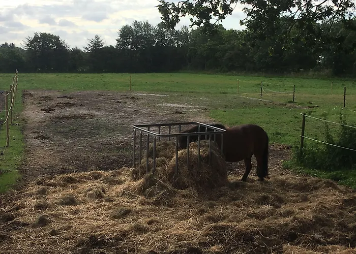 Bed & Breakfast Tistrup Couette-café 3*