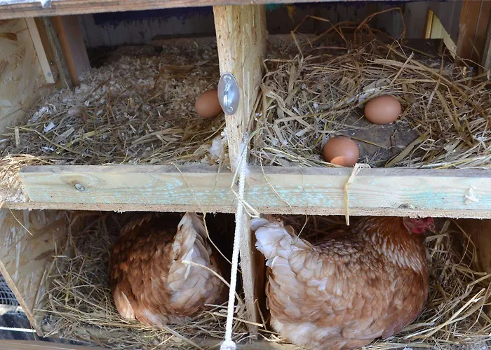 Bed & Breakfast Tistrup 3* Tistrup