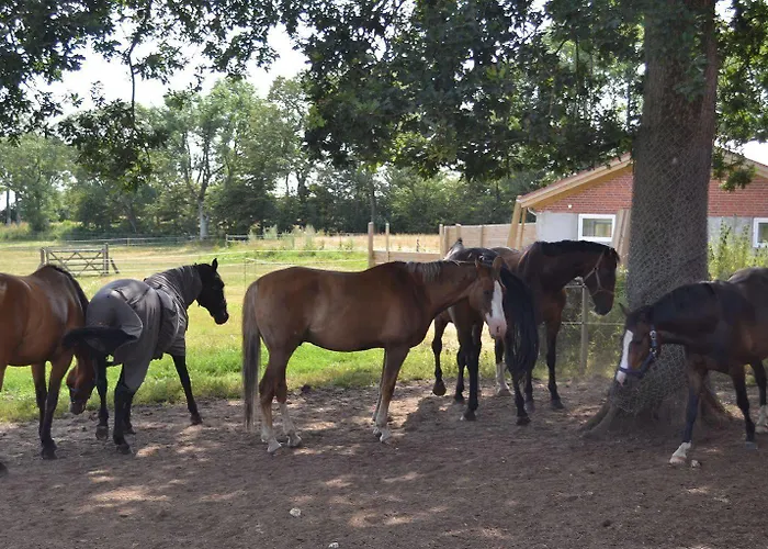 Couette-café Bed & Breakfast Tistrup Tistrup